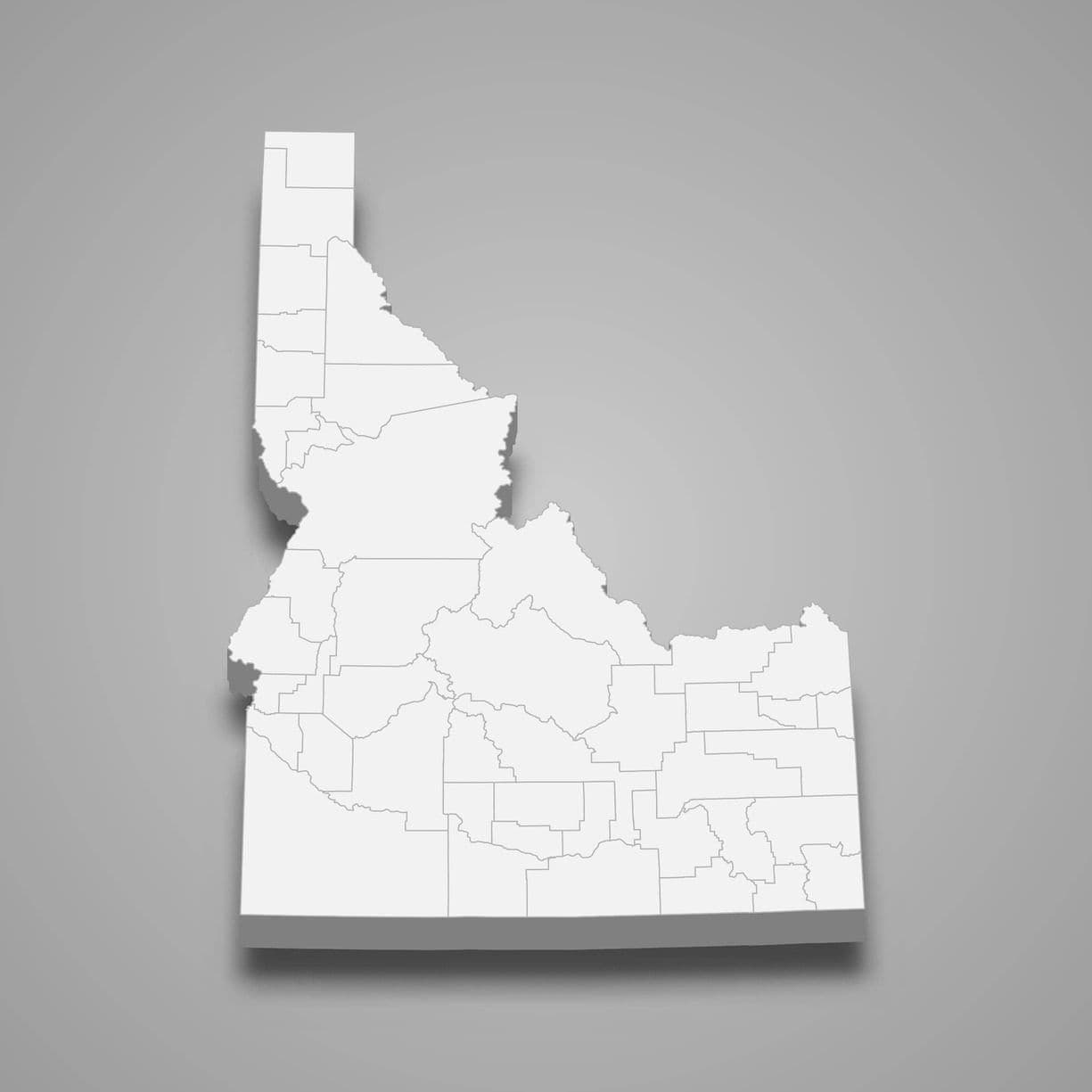 Auctions in Idaho