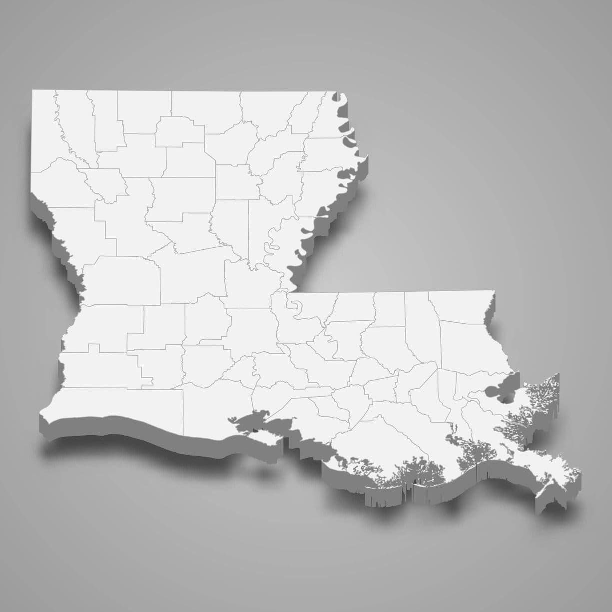 Auctions in Louisiana
