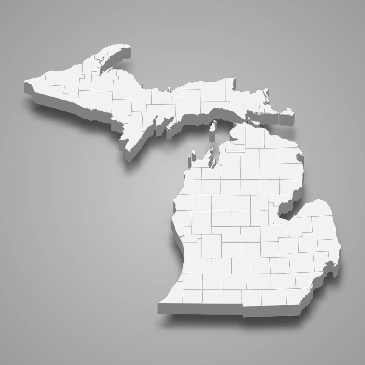 Auctions in Michigan