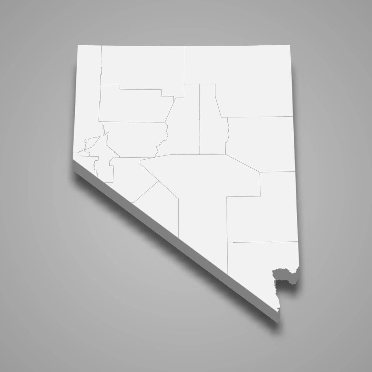 Auctions in Nevada