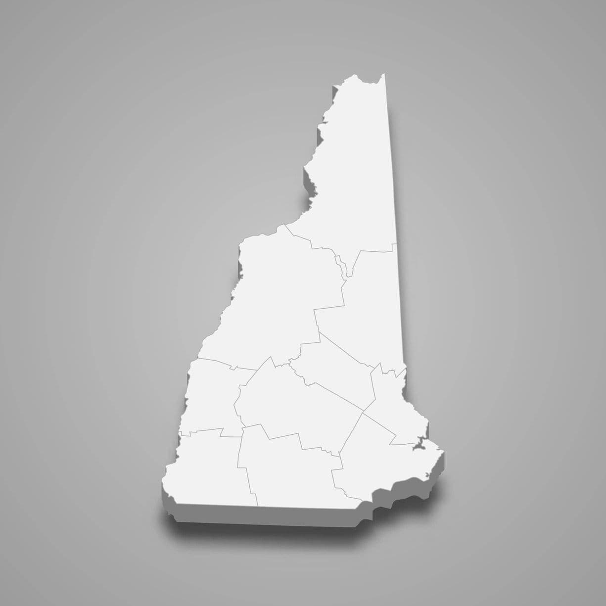 Auctions in New Hampshire