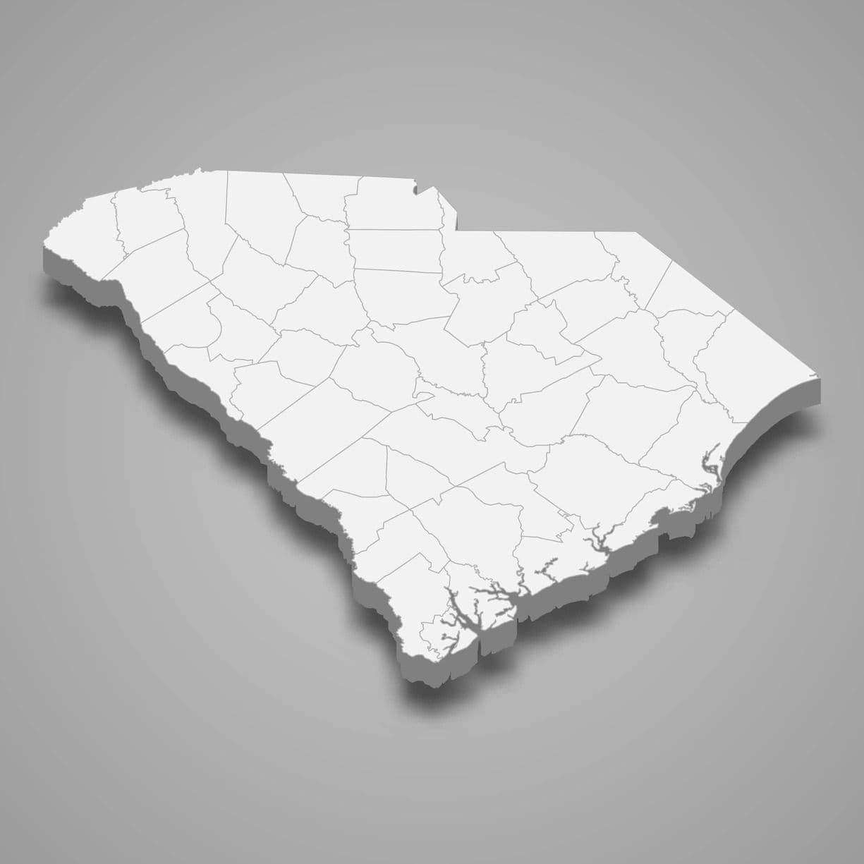 Auctions in South Carolina